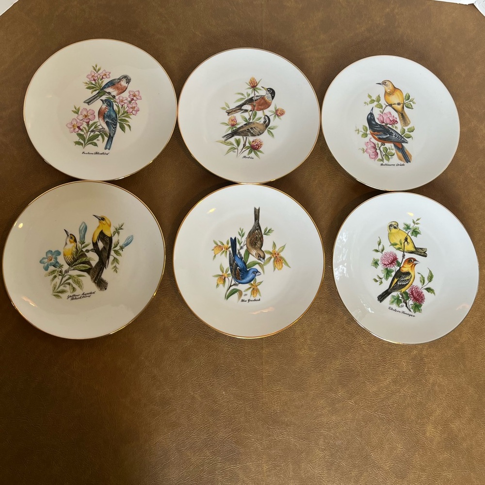 Vintage Set of Six Bareuther Waldsassen Porcelain Plates Featuring Birds